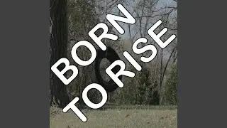 Born to Rise - Tribute to Redlight King (Instrumental)
