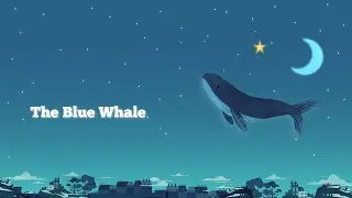 The Blue Whale - Worlds Biggest Animal
