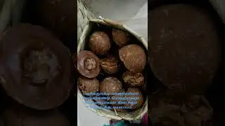 original Karupatti palm candy wholesale & Retail available 6380939242