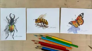 Live Replay✏️ Realistic Insect Drawing with Colored Pencils | Beetle, Butterfly & Bee