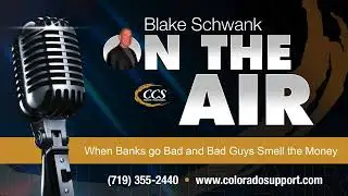Insights on the Collapse of Silicon Valley Bank and the Opportunism of Financial Fraudsters