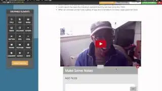 InstaTheme Review