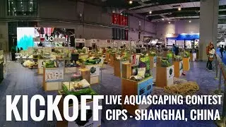 VIDEO 1/3 | KICKOFF OF CIPS LIVE AQUASCAPING CONTEST | FIRST IMPRESSIONS