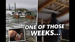 Injury recovery, Snow & a Flooded Basement - A Tough Week Renovating Our Old Farmhouse Ep.75
