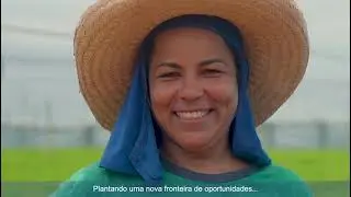 Cedro Participações - Agronegócio