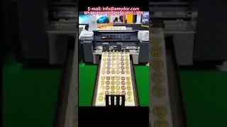 High Speed Plotter Auto Feed With Creasing Cutting Dual Heads Label Die Cutter Sticker Cutting