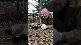 Ud i Naturen med S&oslash;ren. Husm&aring;r