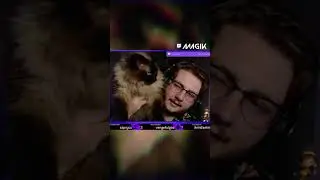 ANGRY KITTY