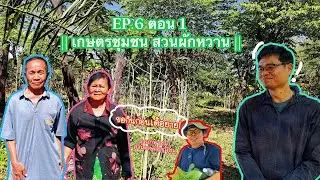 Ep.6/1 ลุงแก่พาชม สวนผักหวาน || เกษตรชุมชน เกษตรผสมผสาน || บ.หนองโก ต.ก้านเหลือง อ.แวงน้อย จ.ขอนแก่น