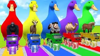 Paint Animals Duck,Tiger,Cow,Lion,Buffalo,Gorilla,Elephant,Dinosaur Fountain Crossing Animal Game Ne