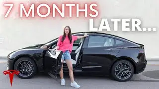 TESLA MODEL 3 7 MONTHS LATER (Tesla White Interior Review)