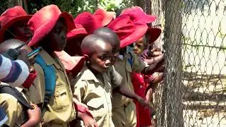 VIDEO SERIES 1/3 | CHIPANGALI WILDLIFE ORPHANGE | HISTORY