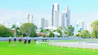 Gold Coast Turf Club | Experience Oz