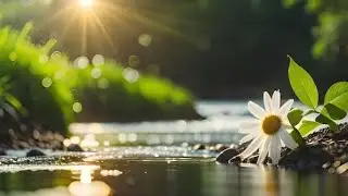 ,🌹Beautiful Sunrise |💞 Green Nature💚 Landscape with Rain, Sea & Birds | 💯🌼🌼😀Relaxing Natural Scenery