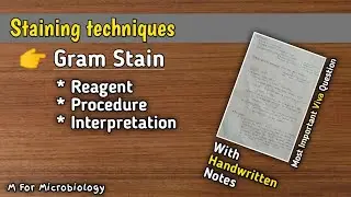 Staining techniques | Gram Staining | Reagents | Procedure |Interpretation