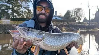 Tipps und Tricks f&uuml;r Polder-Hechte im Winter: Mit Big-Baits und Baitcast in Holland unterwegs 🥶🔥