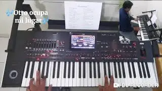 Otro ocupa mi lugar - Bryndis (instrumental teclado)