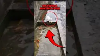 Fastest Hunting Cat Ever Caught on Camera!&rdquo;#hunting #huntingcat #viral