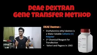 DEAE Dextran | Gene Transfer | Transfection | Tamil | Genetic Engineering | Biology | ThiNK VISION