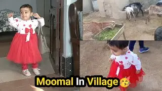 Moomal In Vilage | Village Vlogs | #village