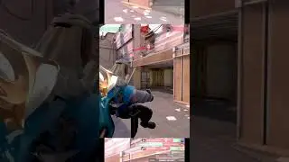 SHAKDART