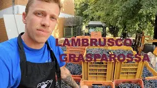 Finisce con  il LAMBRUSCO GRASPAROSSA