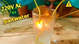Experiment: Salt Water Vs 220 V AC Current Electricity