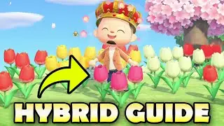 🌷 How To Get RARE HYBRID FLOWERS In Animal Crossing New Horizons!  BEST Hybrid Guide!
