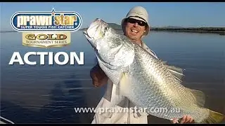 prawnstar gold action