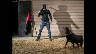 Antifa Terrorist and the Journalist