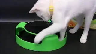 The Swagly Motion Mouse