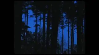 Axel Fl&oacute;vent - Tourist (Official Video)
