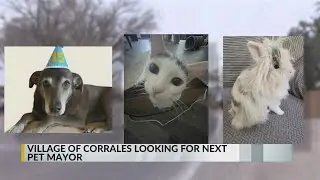 Corrales now voting for future pet mayor