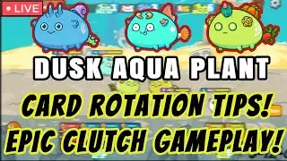 DAP CLUTCH GAMEPLAY! CARD ROTATION TIPS!  TERMI AQUA PLANT STRATEGY SEASON 20 #31 AXIE INFINITY 2022
