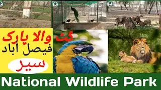 Wildlife national park | Pakistan wildlife park gatwala | Visit gatwala park Faisalabad
