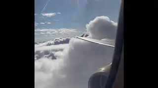 [Trip report] BCN-BRU VUELING 1f