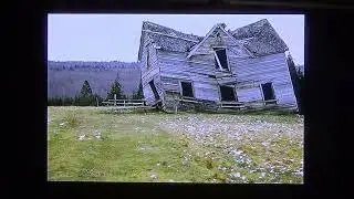 Michael Cagno Presents The Noyes Museum, 2019