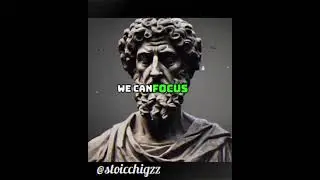 Self Reflection is a powerful Practice to  Take #quotes #stoic #motivation