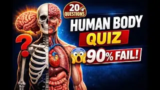 मानव शरीर के 20+ सबसे महत्वपूर्ण प्रश्न | Human Body Science Quiz in Hindi | GK 2026