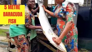 Oluwo Fish Market | Epe | Market Vlog