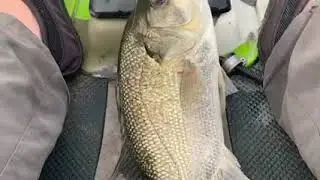 Burrum River Fresh 5/5/23