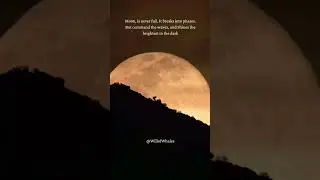 #writer #quotes #life #motivation #moon #love #hope #sky #nightlife #passion #dream