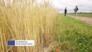 Europe's trade deals: Are European farmers being short-changed? (part 2) &bull; FRANCE 24 English