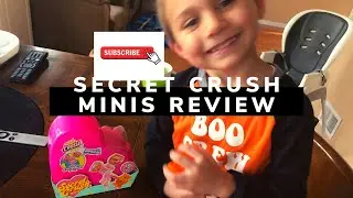 Secret crush minis review