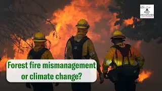The REAL story behind the CA wildfires | Jimmy At The Crossroads w/ Patrick J. Michaels, PhD