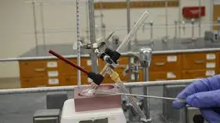 Synthesis  of Amyl Acetate - Lab Video