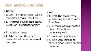 2  ADMLT- CARDIO VASCULAR SYSTEM  DR  MUTHA