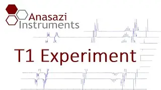 T1 Relaxation -- NMR Experiment