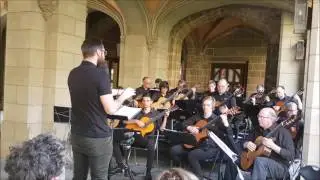 CGSV Ciacona SL Weiss 20 Nov 2016