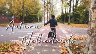 [4K] Netherlands Bike Tour in Autumn 🇳🇱 Delft | Things To Do in The Netherlands During Autumn